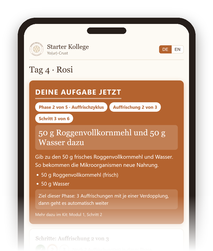 Die App Starter Kollege auf einem Handy mit der Aufgabe für heute