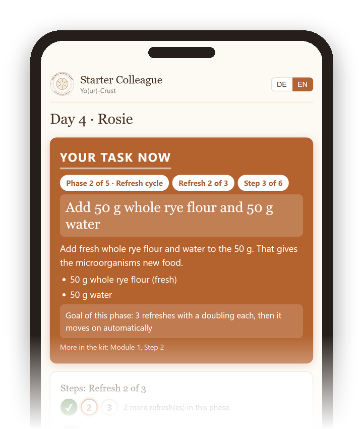 The Starter Colleague app on a phone, showing the task for today